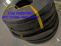 Gioang cao su chữ nhật 10x20mm