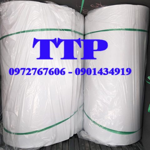 Mút eva tấm màu trắng 15mm