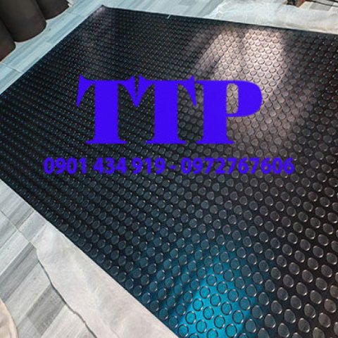 Thảm cao su đồng tiền chống trượt